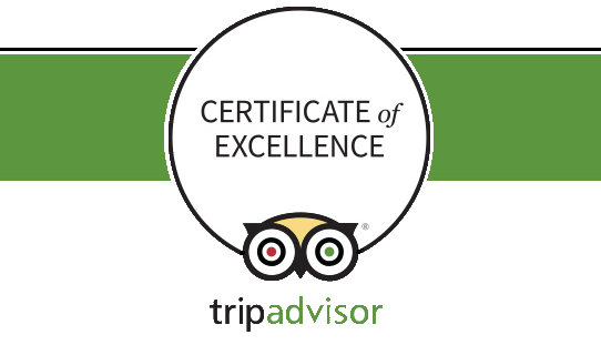logo pub crawl certificate of excellence ta